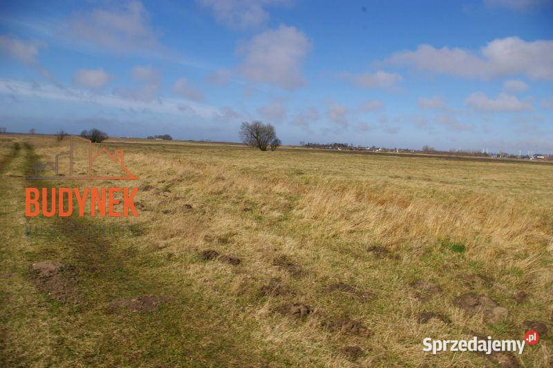 Działka rolna Domasławice