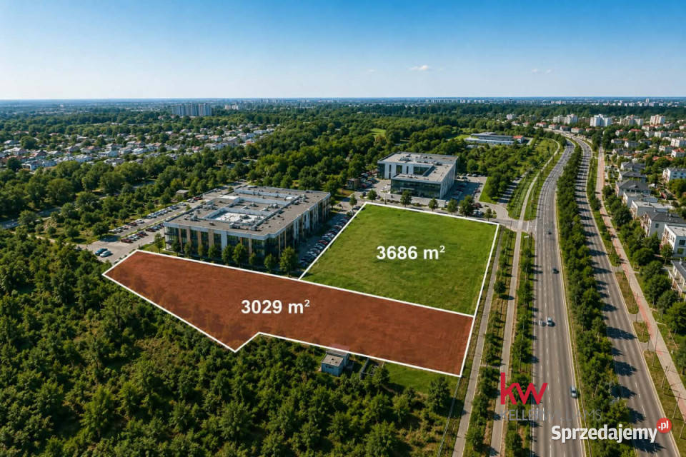 Lokal 3029m2 Poznań