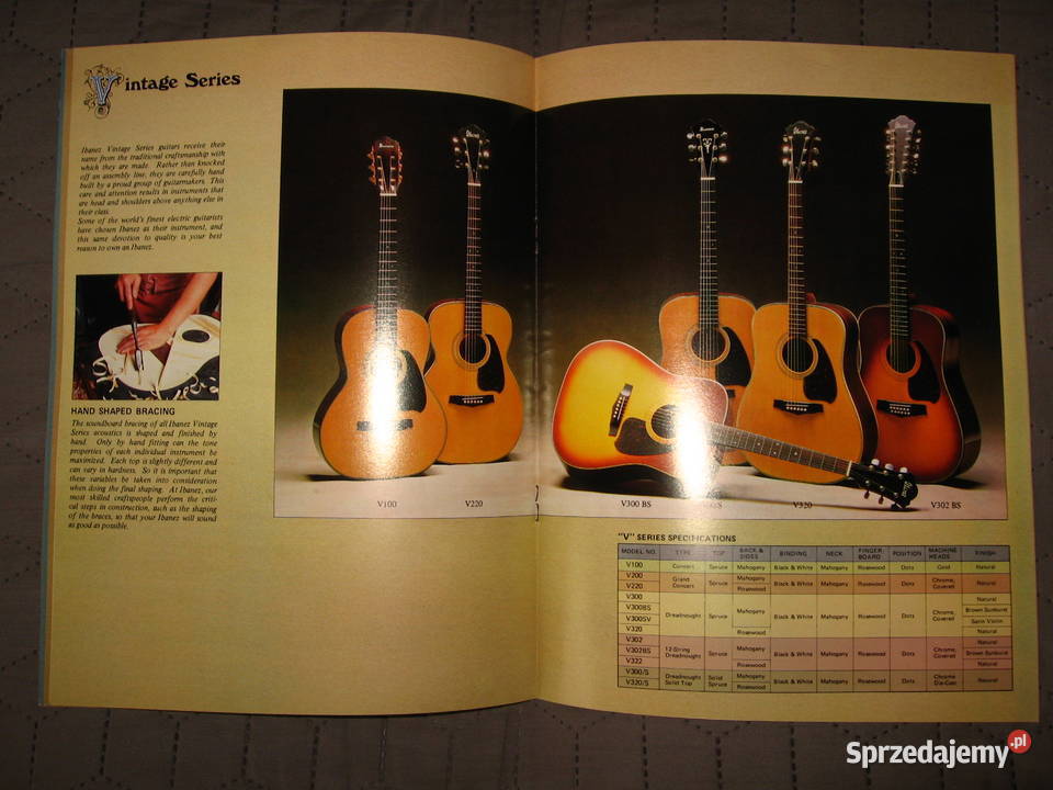 TAMAIbanez Acoustic Guitars katalog gitar pomorskie sprzedam