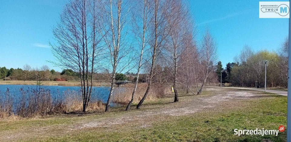Sprzedam grunt 2481m2 Morawica leśna świętokrzyskie sprzedam
