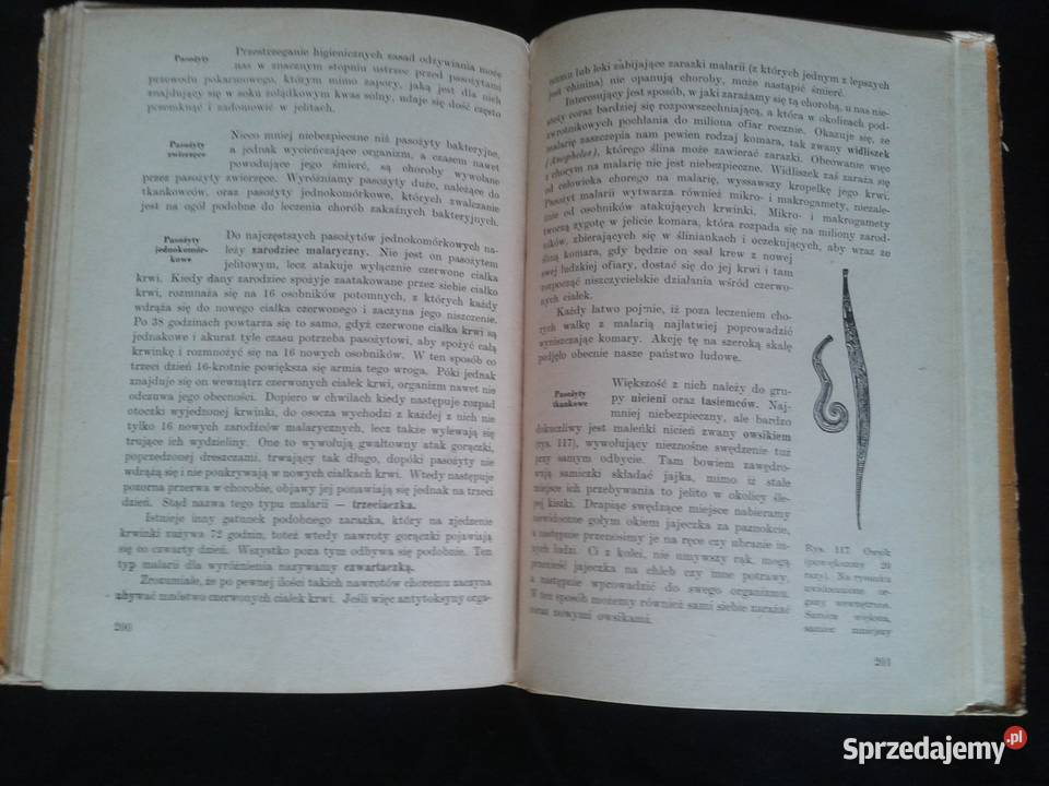 Nauka o człowieku klVII 1962r autorzyJWernerowa Łódź