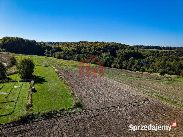 Ogłoszenie działka 950m2 Wielopole Skrzyńskie Sprzedaż sprzedam