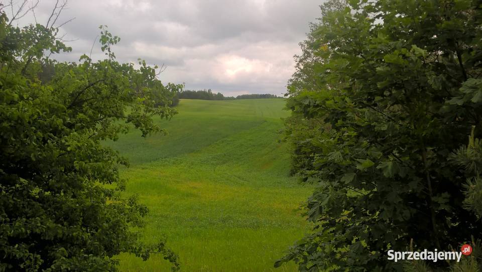 Mazury Stare Juchy działki 3000m2 z dojściem do