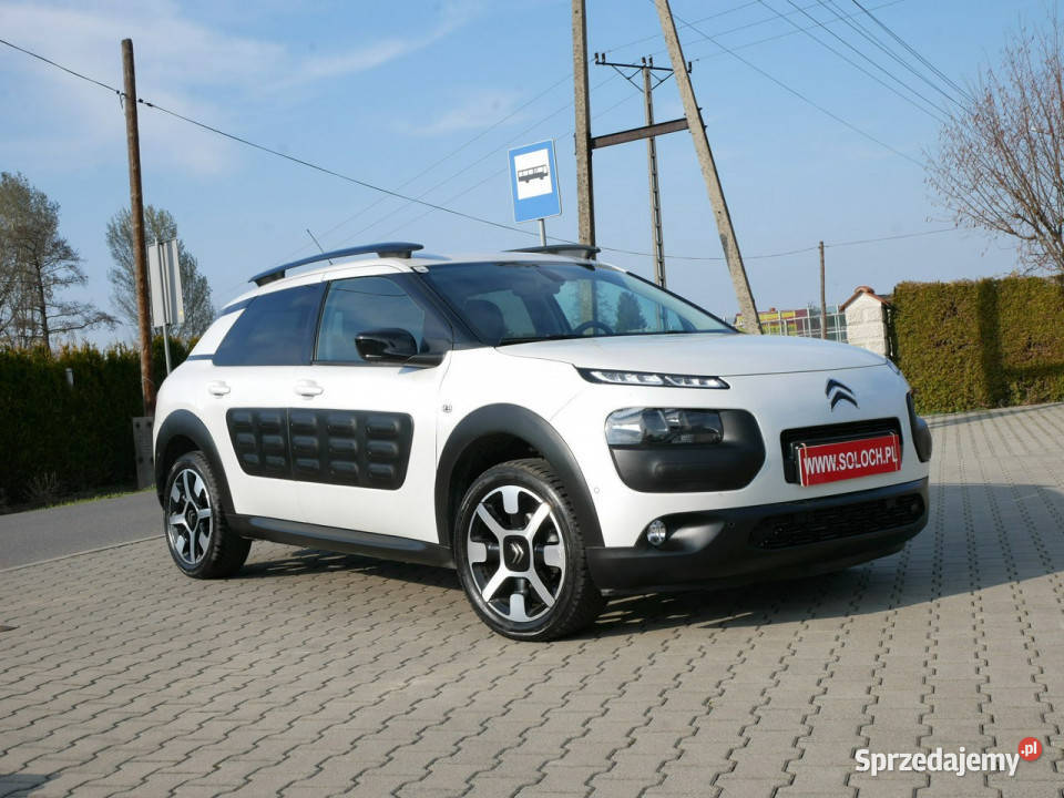 Citroen C4 Cactus 16 BlueHDi 100 Eu6 Navi immobilizer