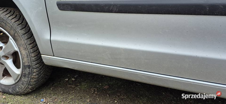 Drzwi lewe Vw Polo 9N LA7W Części samochodowe Słupsk