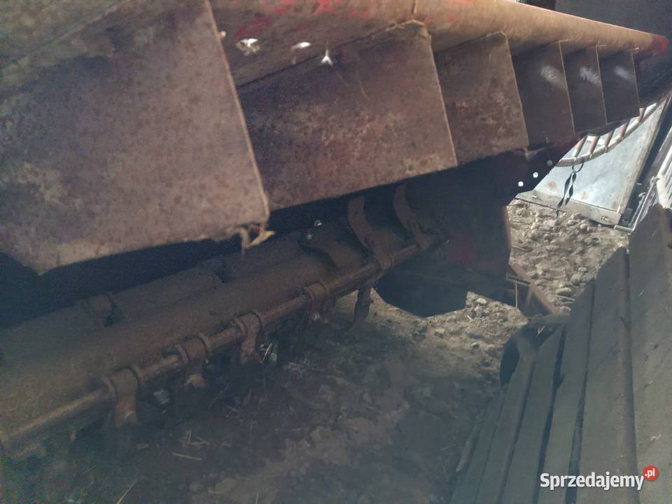 Leciniarka160 Tomaszew