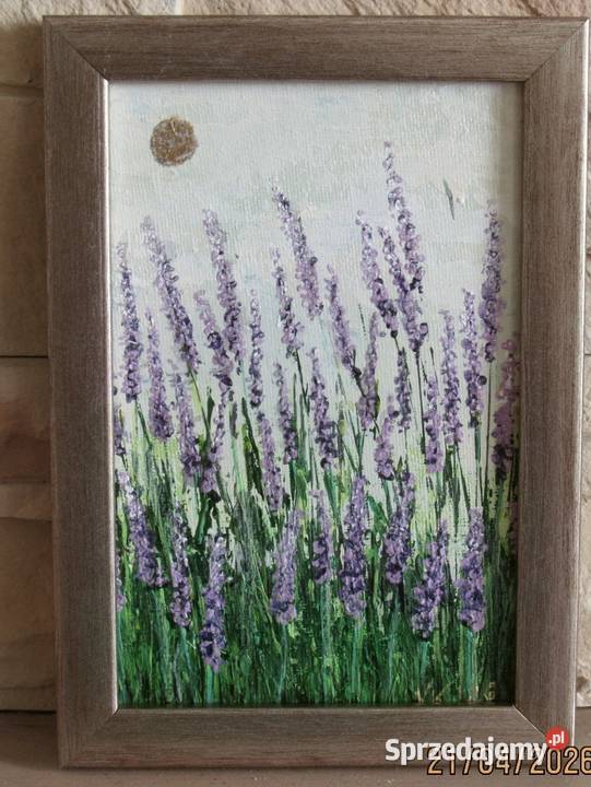 Lawenda Bychawka Trzecia