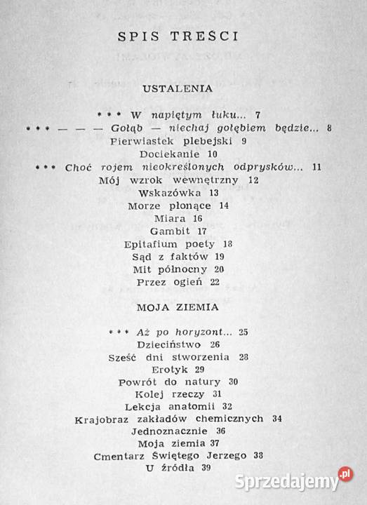 ogień Wojciech Roszewski