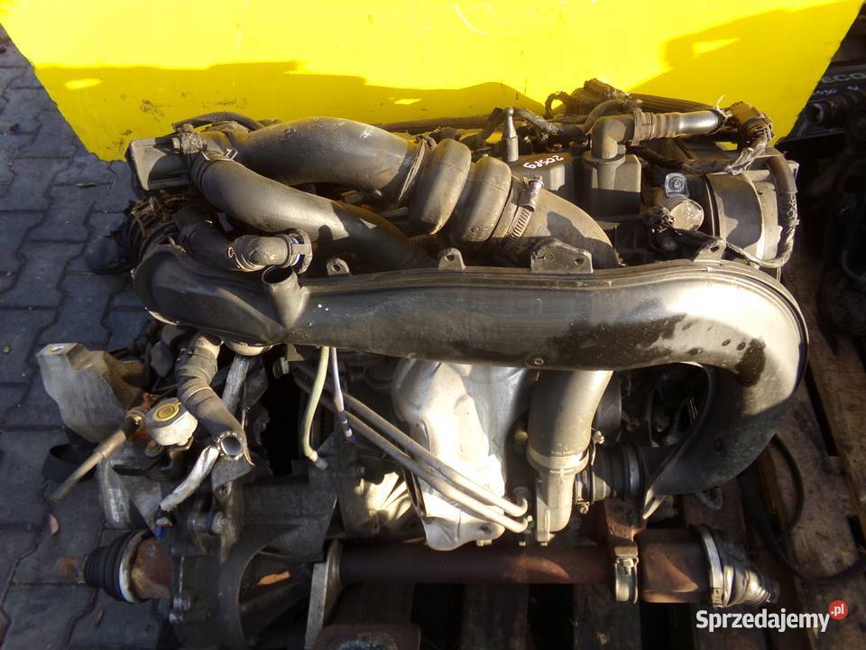 FOCUS MK3 C 15 ECOBOOST 17r 182 silnik M9DG M9DB osobowe Suków