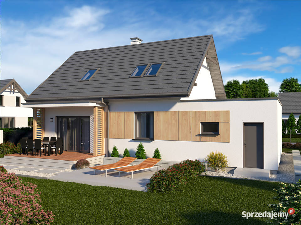 Budowa Nowoczesnych domów szkieletowych Duże