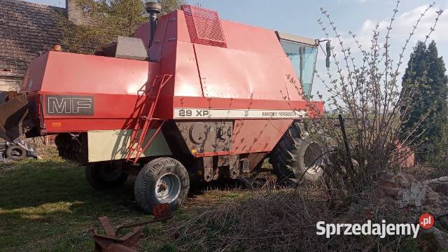 Kombajn zbożowy Massey Ferguson 29XP nieuszkodzony Zbożowe wielkopolskie Września