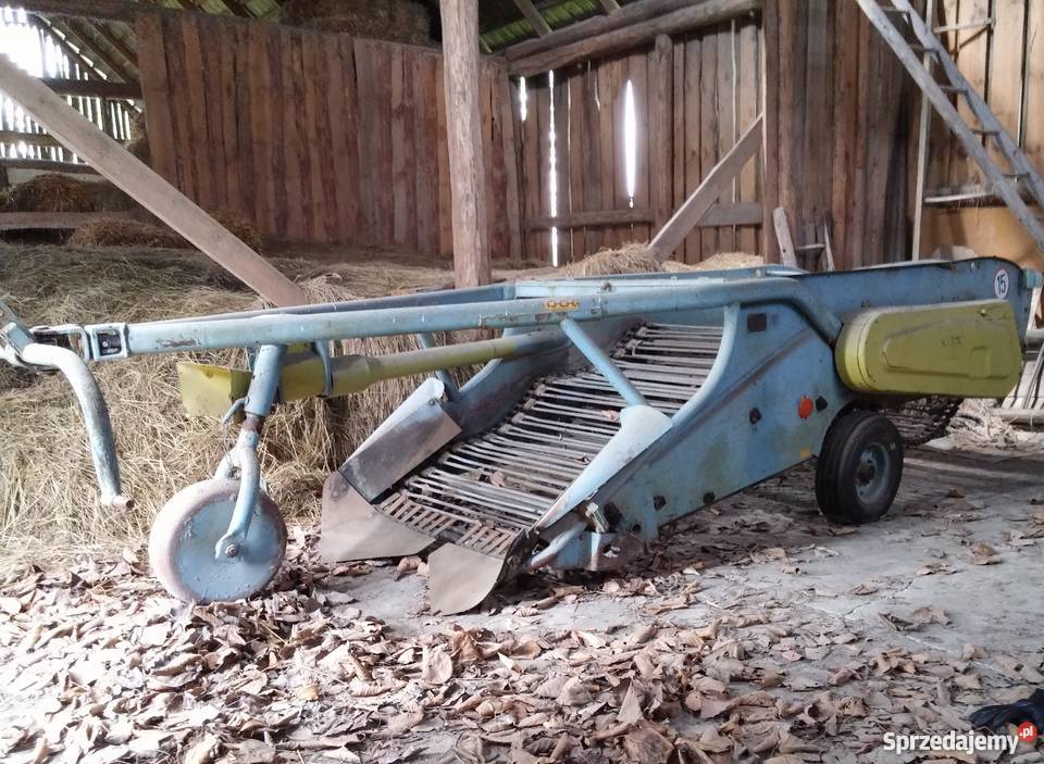 kopaczka do ziemniaków elewatorowa dwurzędowa Z Augustowo