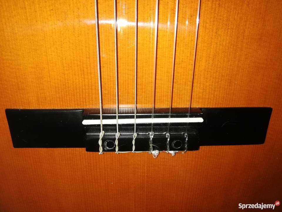 Gitara akustyczna Special Edition Classic Wronki