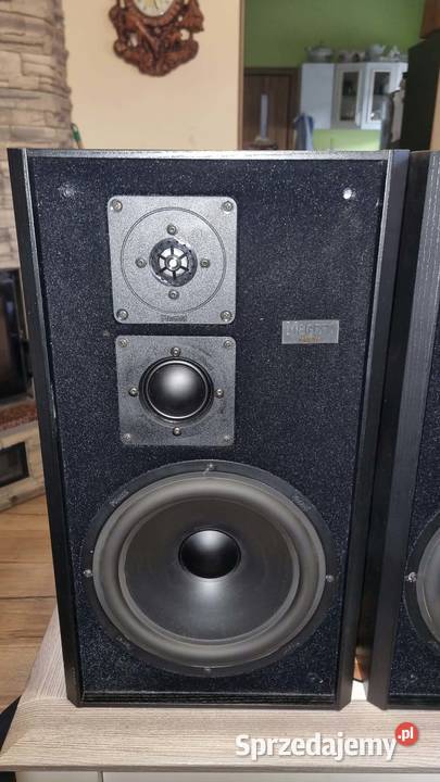 Kolumny monitory Magnat MSP 70 2x150W obudowa Warta