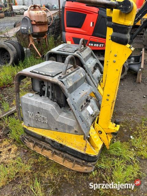 Zagęszczarka Wacker Neuson DPU 6555 2016 i 2017 Chojnów