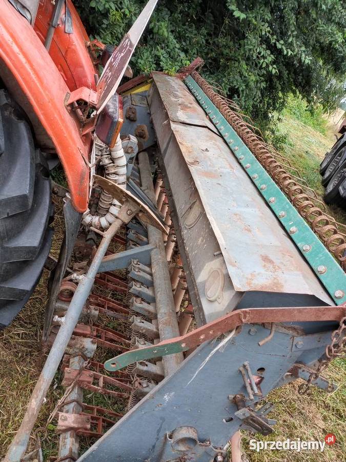 Siewnik poznaniak dolnośląskie
