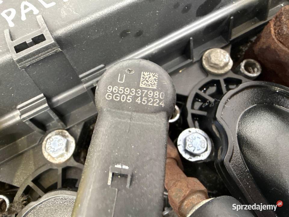 SILNIK RHK Peugeot Expert Citroen Jumpy Fiat Chełm sprzedam