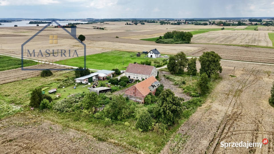 100letni bliźniak pod Prabutami jeziora Obrzynowo