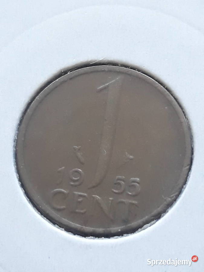 1 Cent Holandia 1955 rJuliana około mennicze wielkopolskie Konin