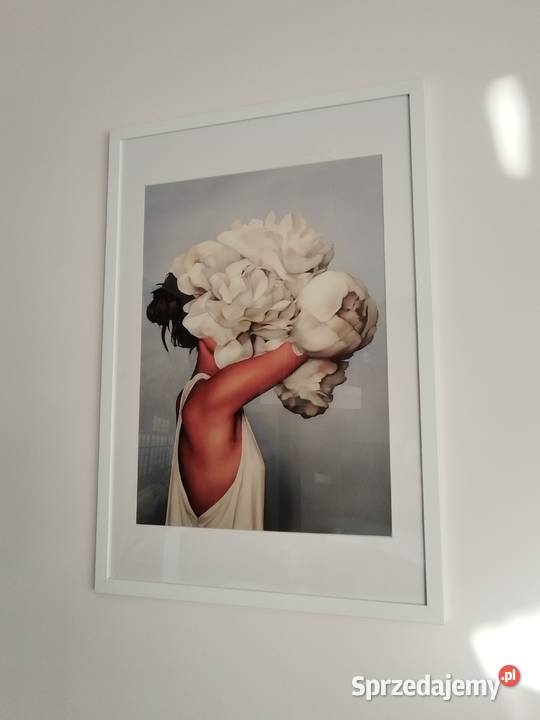 Obraz w ramie 9665 zachodniopomorskie Szczecin