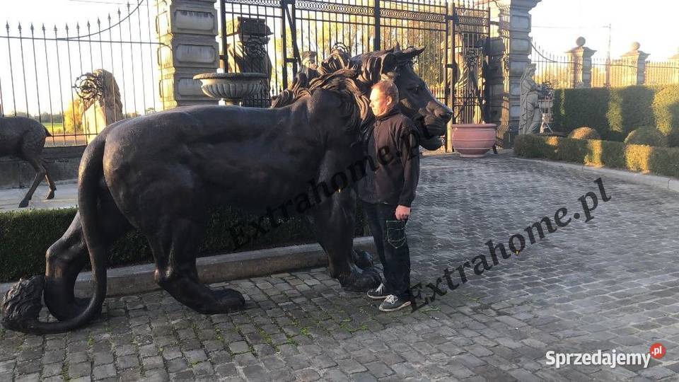 Lew pałacowy H220 figura z Kamienia Szczecin
