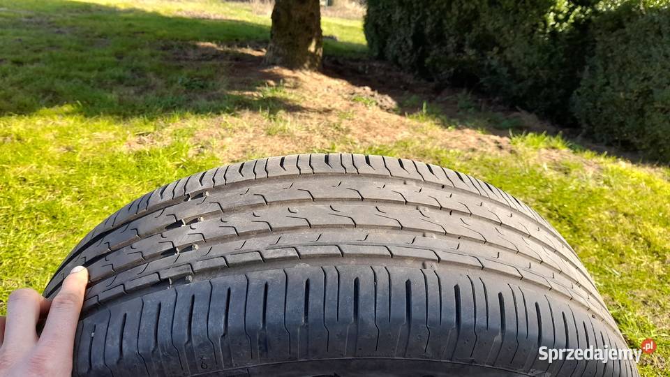 Continental ecocontact 2156017H