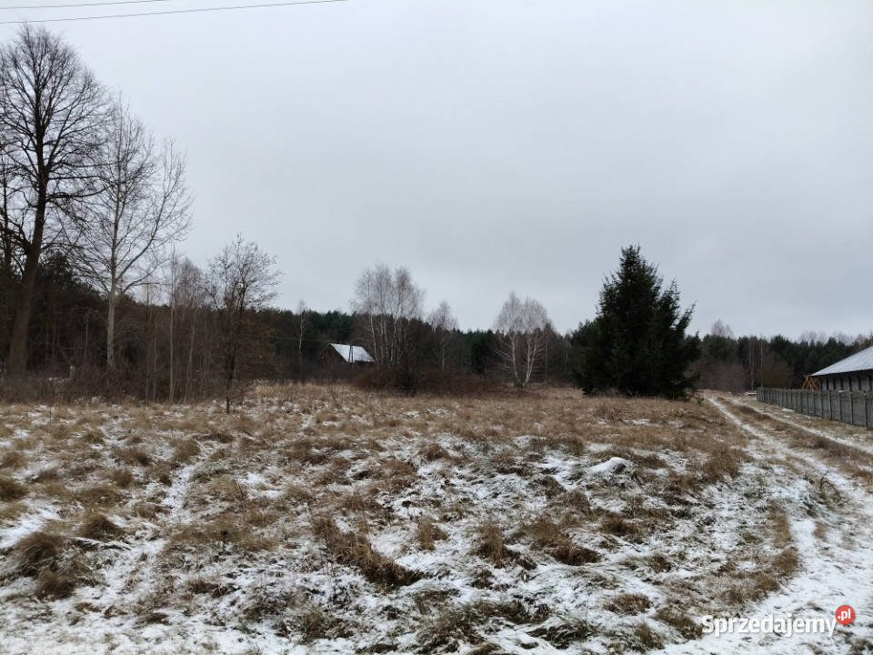Słynny zalew Sielpia Wielka zwana świętokrzyską