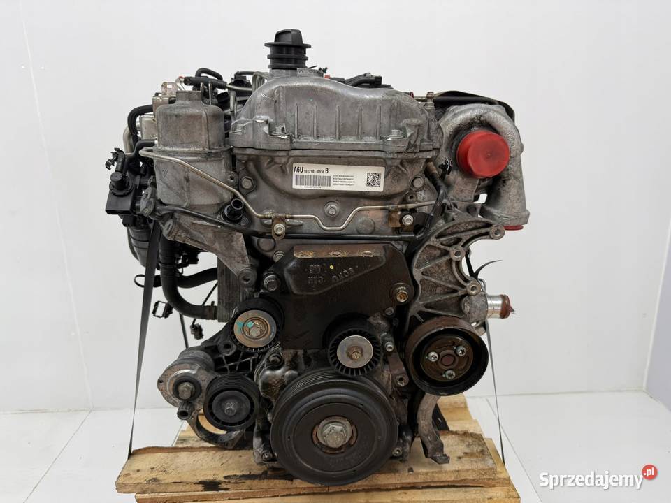 SILNIK Z22D1 Opel Antara Chevrolet Captiva 22 lubelskie Chełm