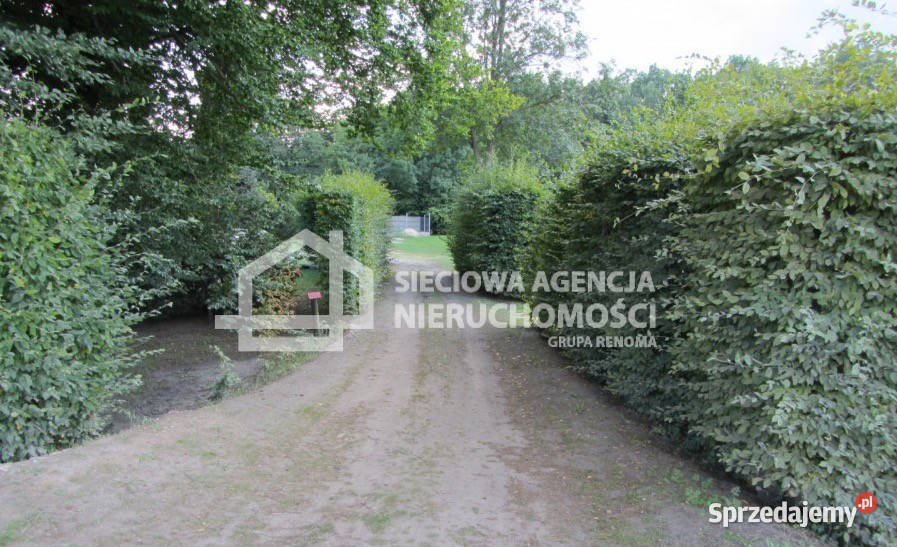 sprzedaży działki 42000m2 Tleń Grunty i działki sprzedam