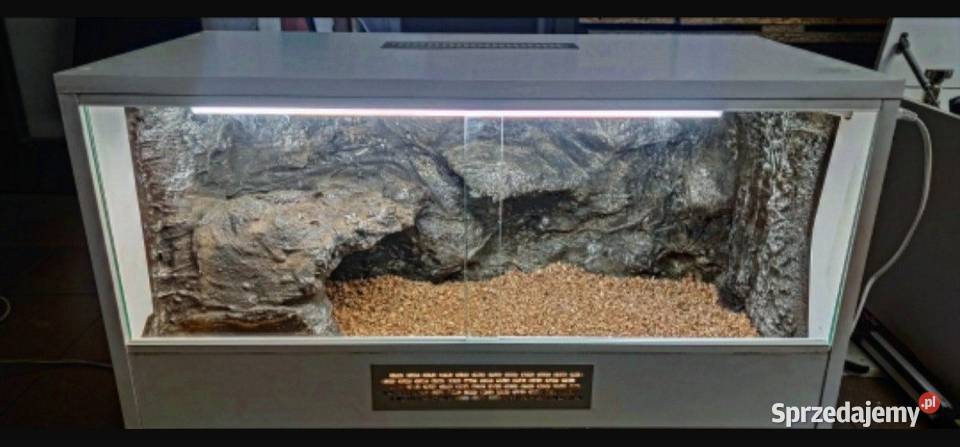 Terrarium specjalistyczne agamy brodatej żółwia Terrarystyka Legionowo