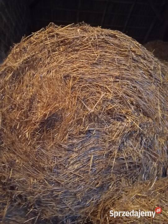 Sprzedam słomę Skrzydłowo sprzedam