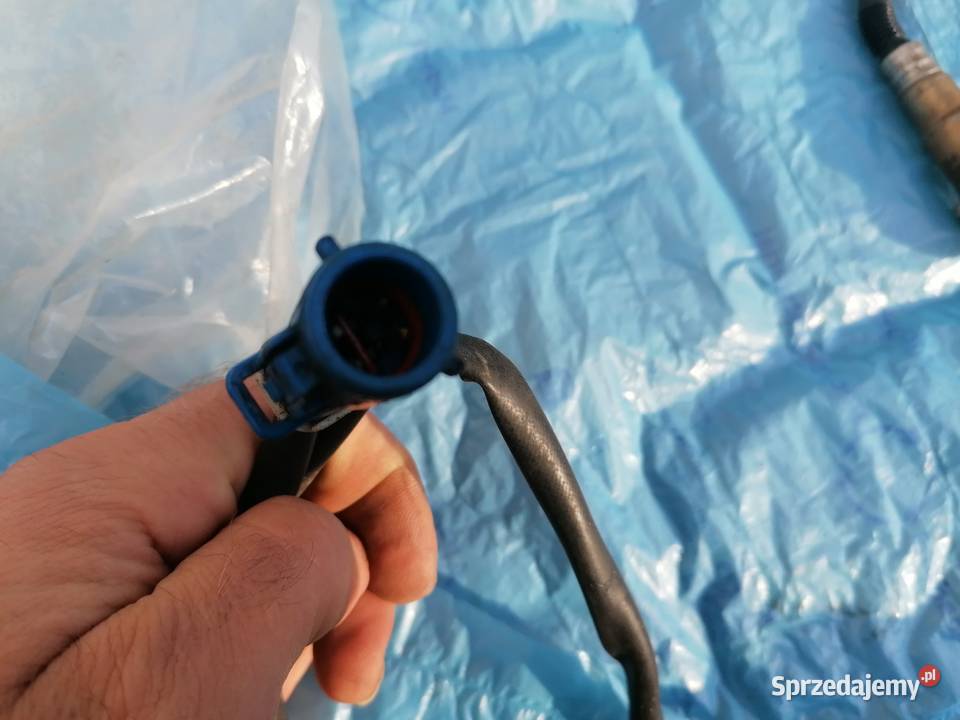 SONDA LAMBDA VOLVO FORD złącze niebieskie Sondy lambda Piaseczno
