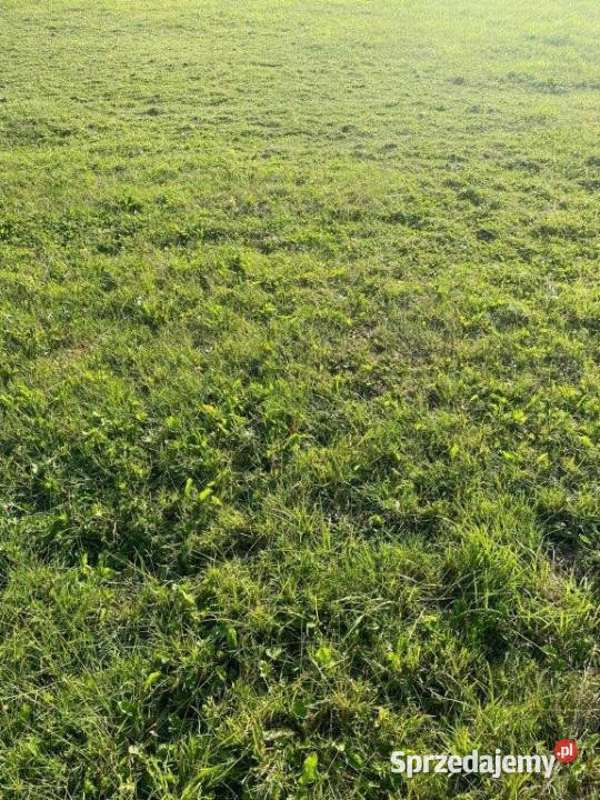 Grunt 1000m2 Jastrzębia Góra
