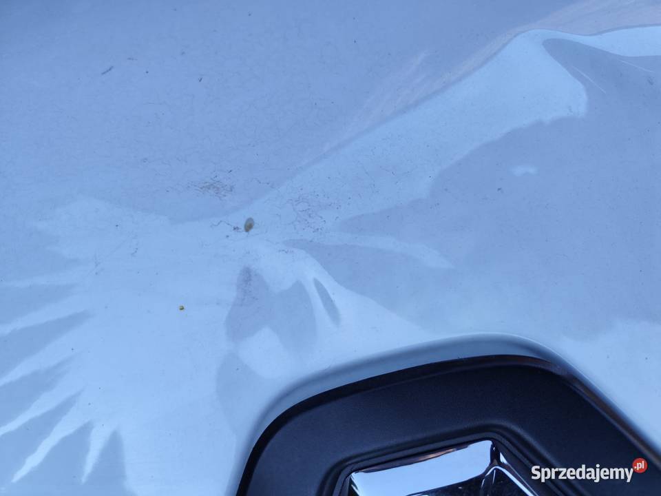 MASKA ATRAPA GRIL LISTWA EMBLEMAT PRZÓD RENAULT