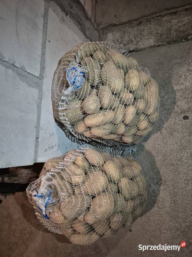 ziemniaki catania Janki Łomża
