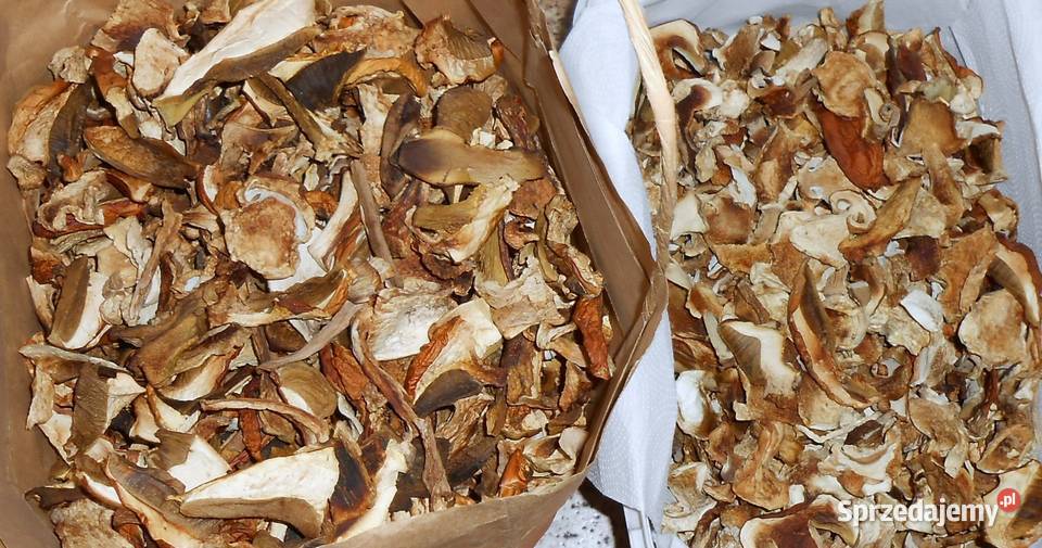 suszone grzyby prawdziwek śląskie Skoczów