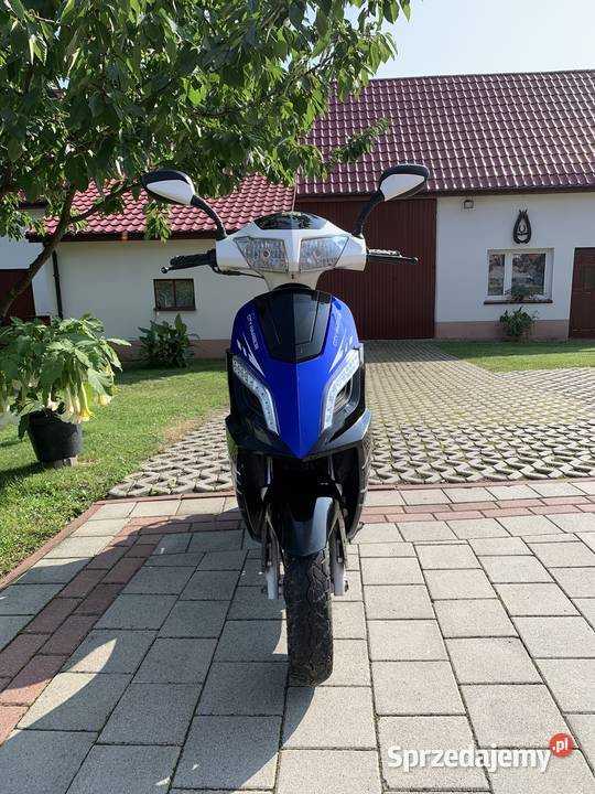 ZIPP VAPOR 50 świętokrzyskie Chęciny