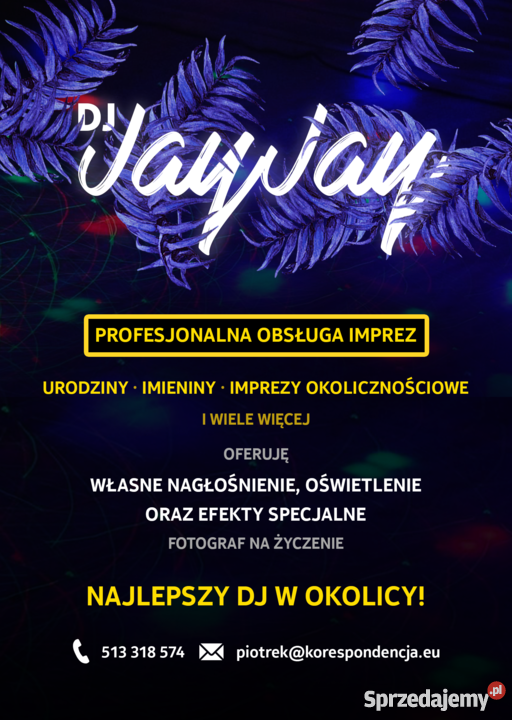 Profesjonalna Obsługa Imprez DJ