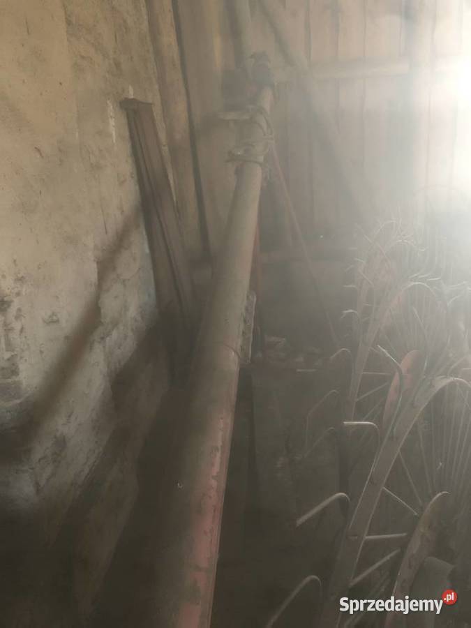 Żmijka 10 metrów nieuszkodzony Nowe Kramsko