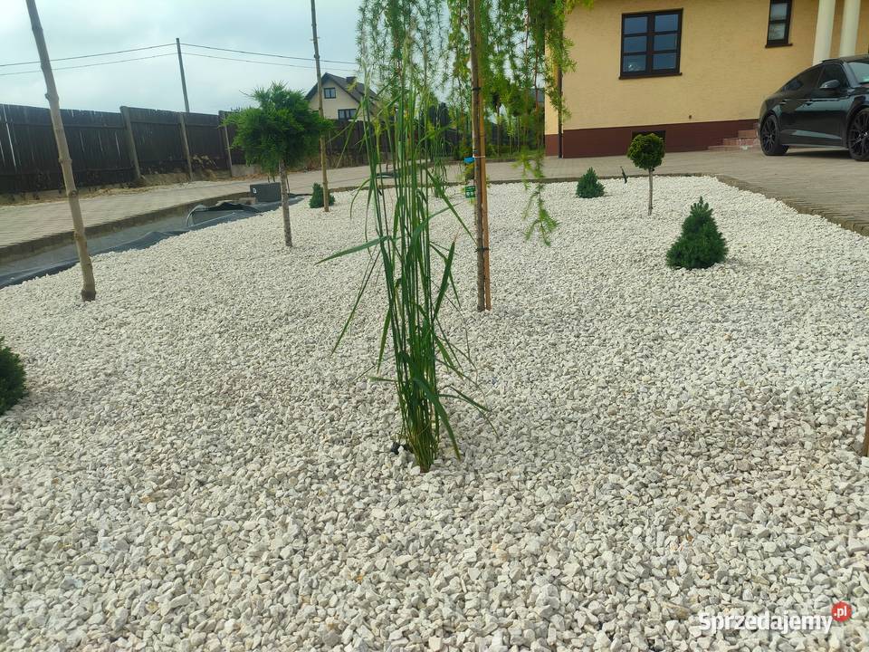 Grys kamień Biały Kremowy 816mm Ozdobny Ogród Kraków