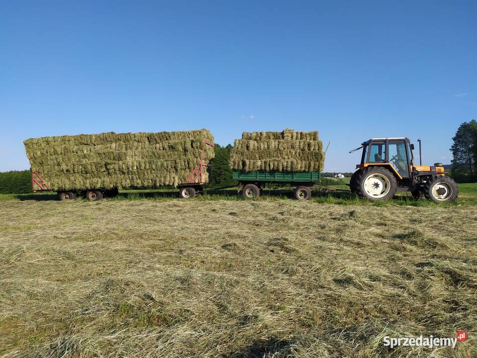 Siano Dąbrówka Nowa sprzedam