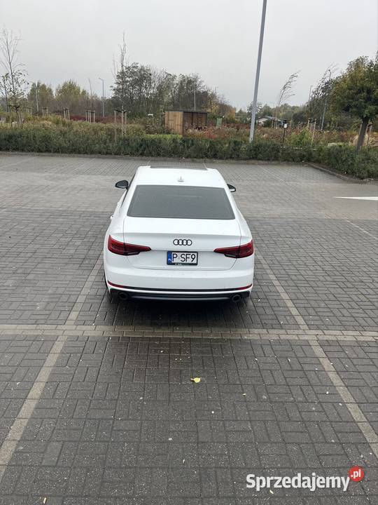 Audi A4 B9 Quattro automat biały LY9C 100 Oborniki