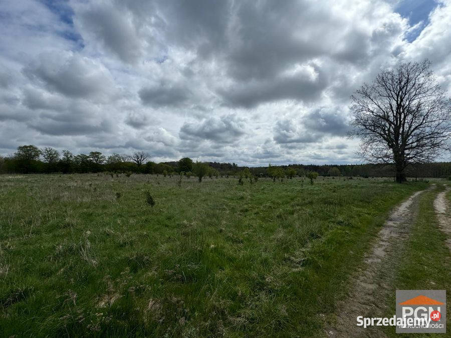Działka 3000m2 Grębowo