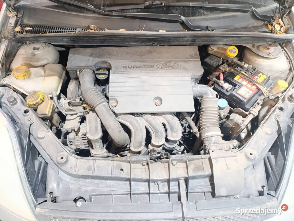 Ford Fiesta 14 2003 uszkodzony będzie jeszcze Hatchback Fiesta