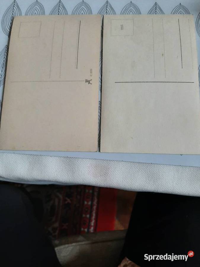 Kolekcjonerskie zdjecia psow