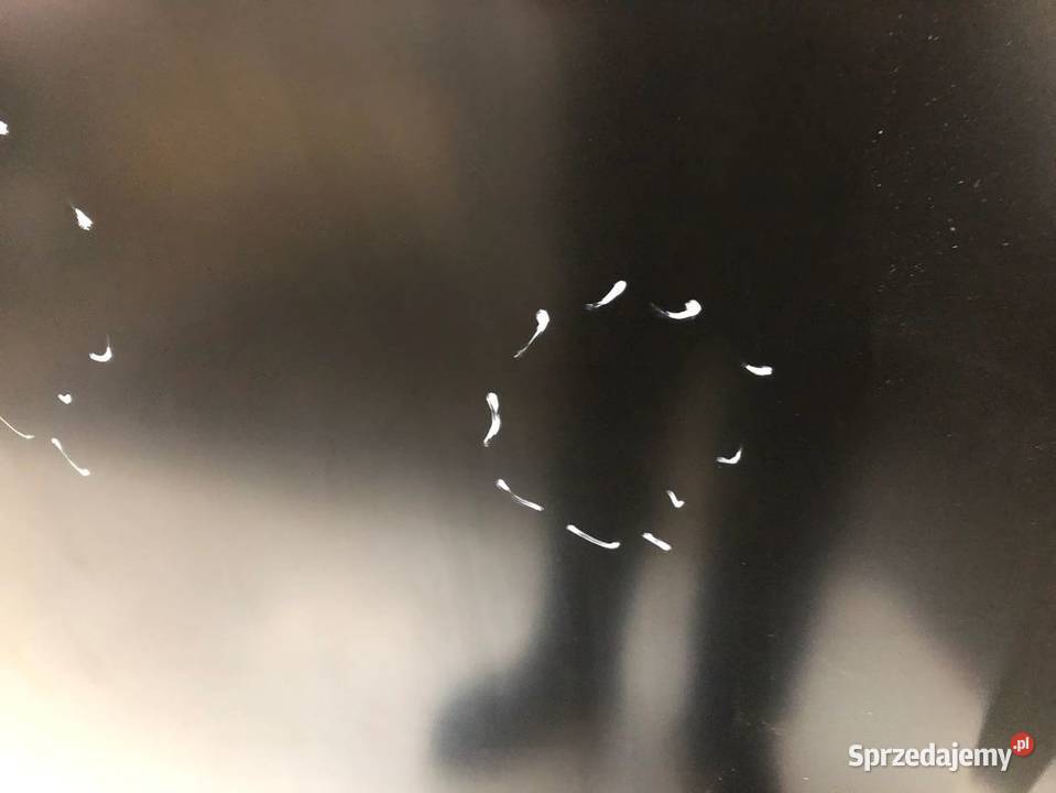 KIA CARNIVAL III 20062010 Maska silnika Pokrywa Skarżysko-Kamienna