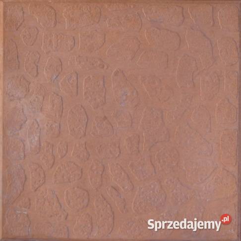 Forma lastriko płytka bruk brukowa 252525 CĘTKI opolskie