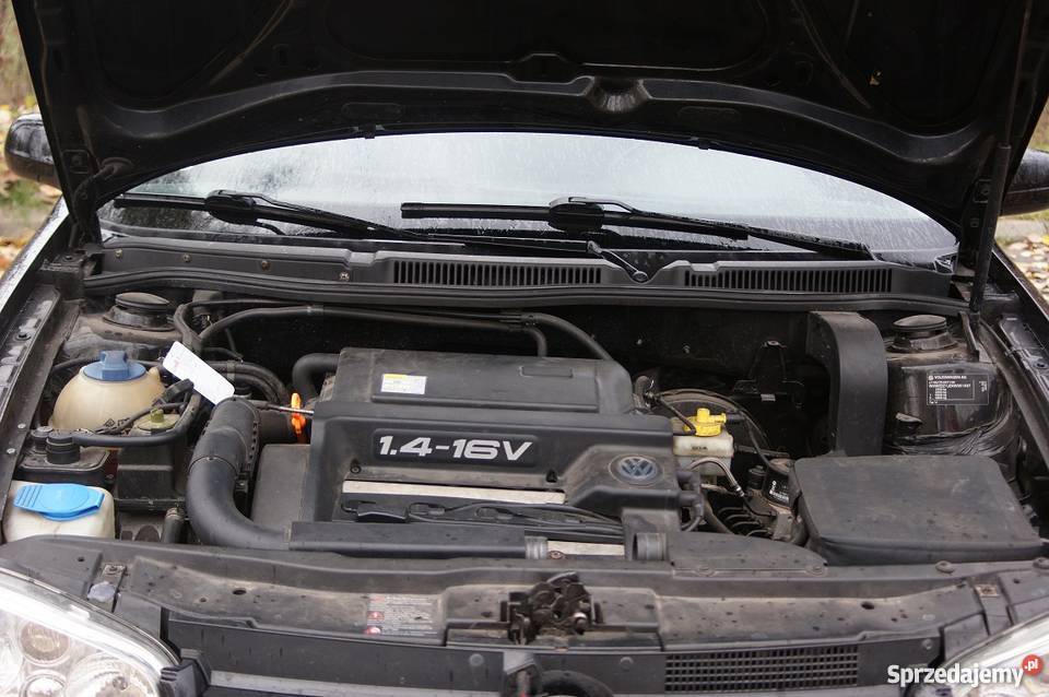 VW Golf 4 14 16v 98r Stary Wiśnicz sprzedam