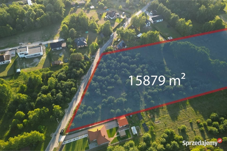 Duża działka 15 ha pod dom stadninę Jadwinin