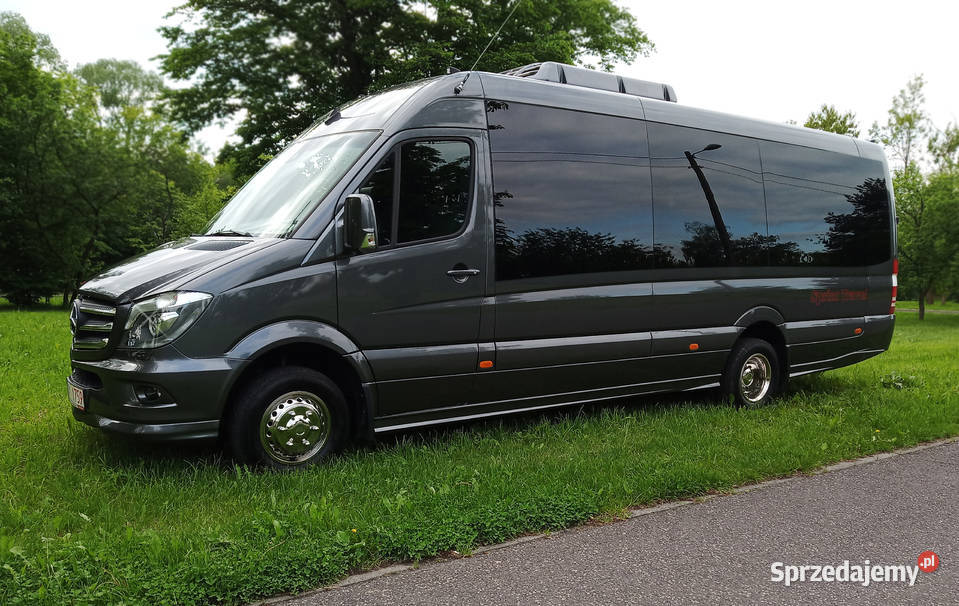 Wynajem busów z kierowcą przewóz osób bus Vip Taxi i przewozy osobowe Katowice